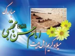 میلاد امام حسن مجتبی