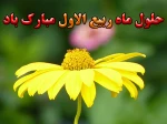 فرارسیدن ماه ربیع الاول بر تمامی مسلمانان جهان مبارک باد 2