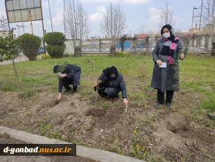 مراسم روز درختکاری در آموزشکده فنی و حرفه ای دختران کوثر گنبد کاووس (گلستان ) 4