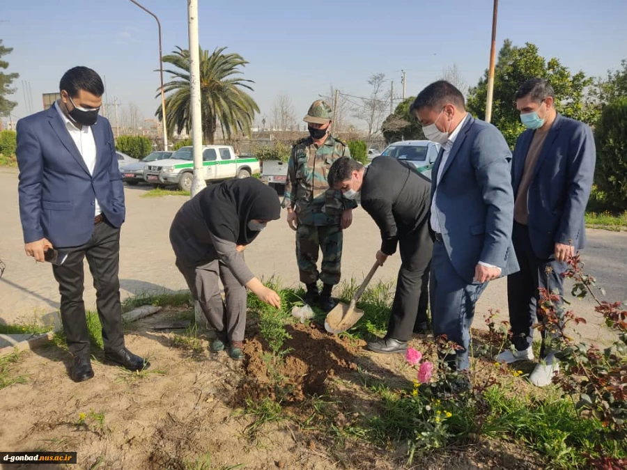 برگزاری مراسم هفته درختکاری در آموزشکده فنی و حرفه ای دختران کوثر گنبد کاووس 4